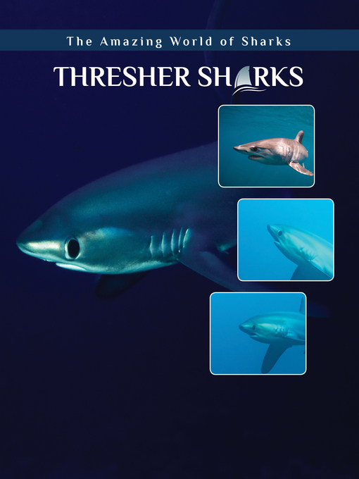 Title details for Thresher Sharks by Elizabeth Roseborough - Available